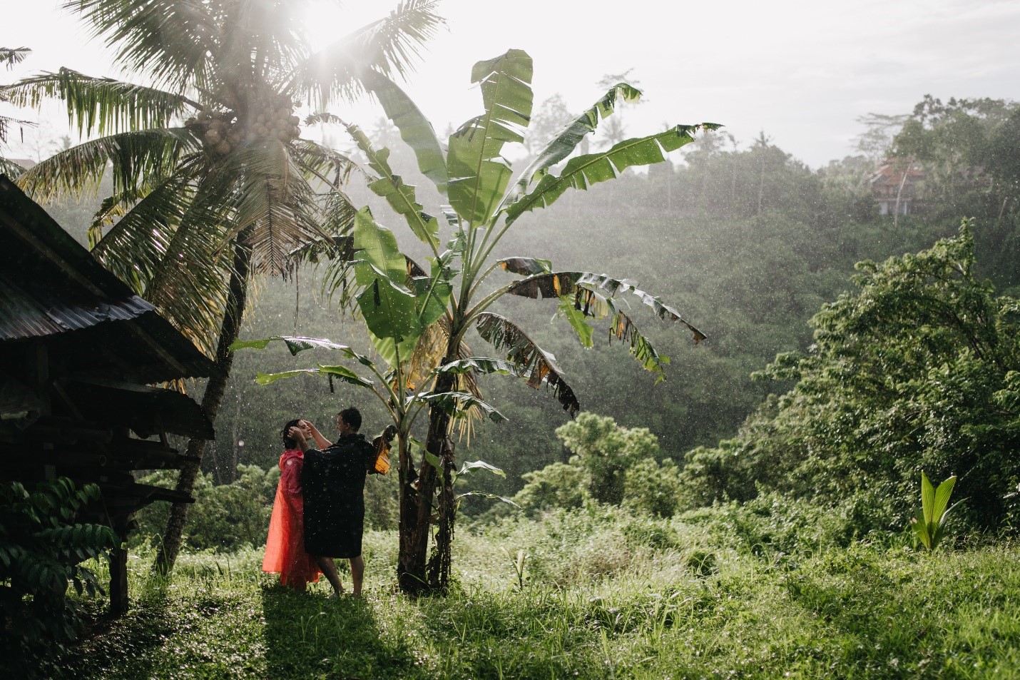 Creating a Sustainable Environment: Simple Steps for a Greener Lifestyle in Bangladesh